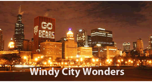 Chicago Bears Skyline